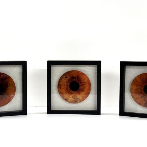 IRIS 3 OJOS